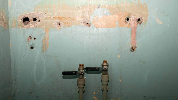 Reliable Quincy, MA Water damage restoration Solutions