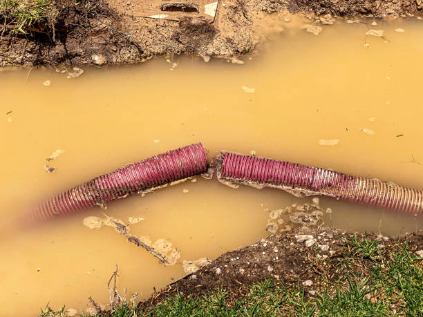 Best 24/7 water damage repair  in Quincy, MA